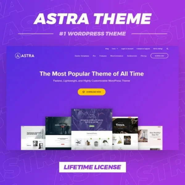 Astra Theme