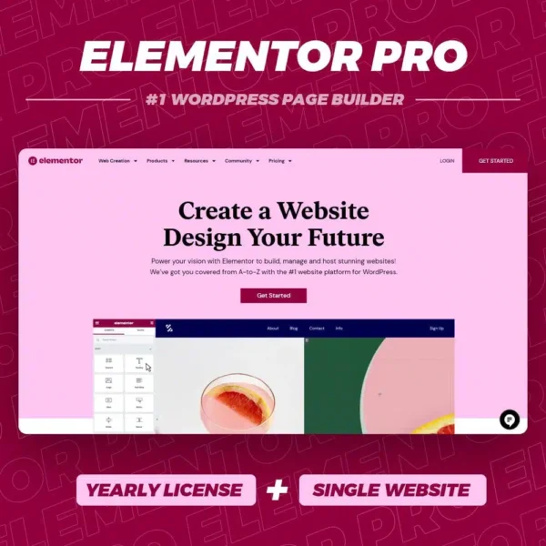 Elementor Pro